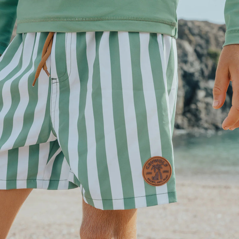 BOARD SHORT Coastal Stripe