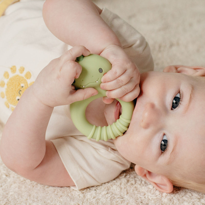 SILICONE TEETHER - Dino